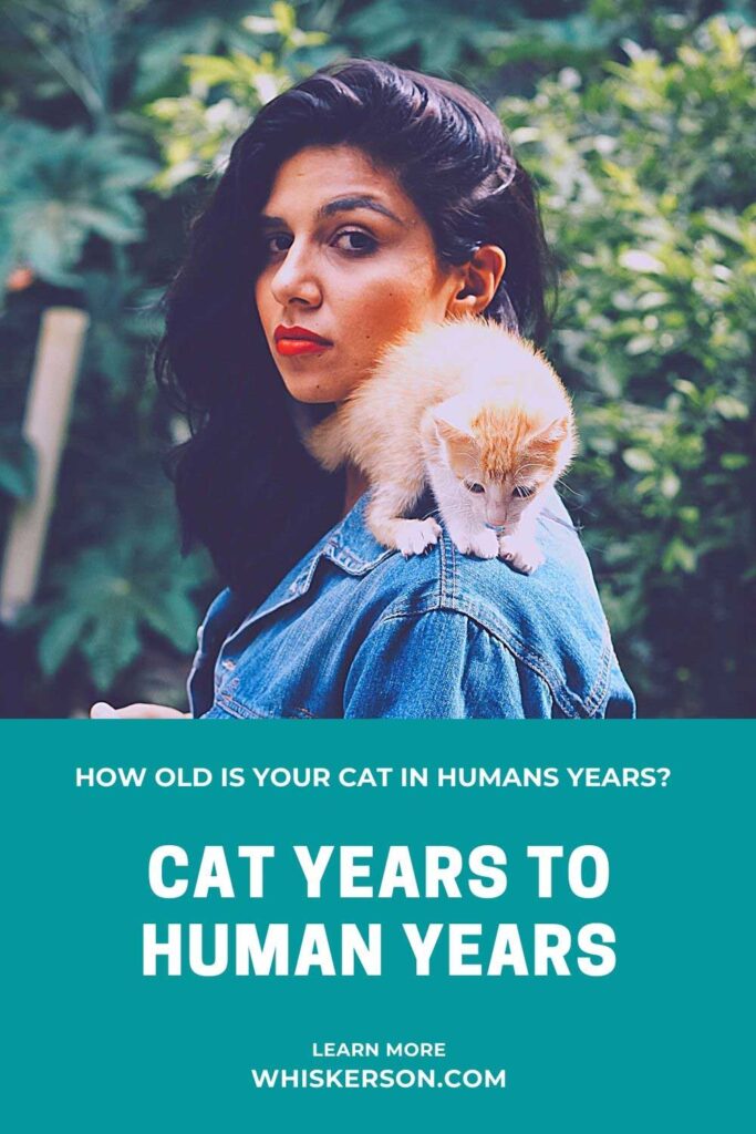 Cat Years to Human Years Pin